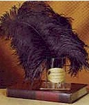 Ostrich Quill